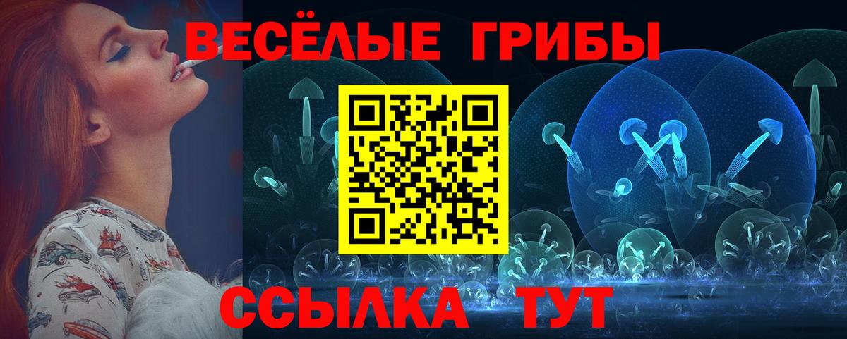 Псилоцибиновые грибы GOLDEN TEACHER  Галлюциногенные грибы прущие грибы  Вход с VPN  Обь 